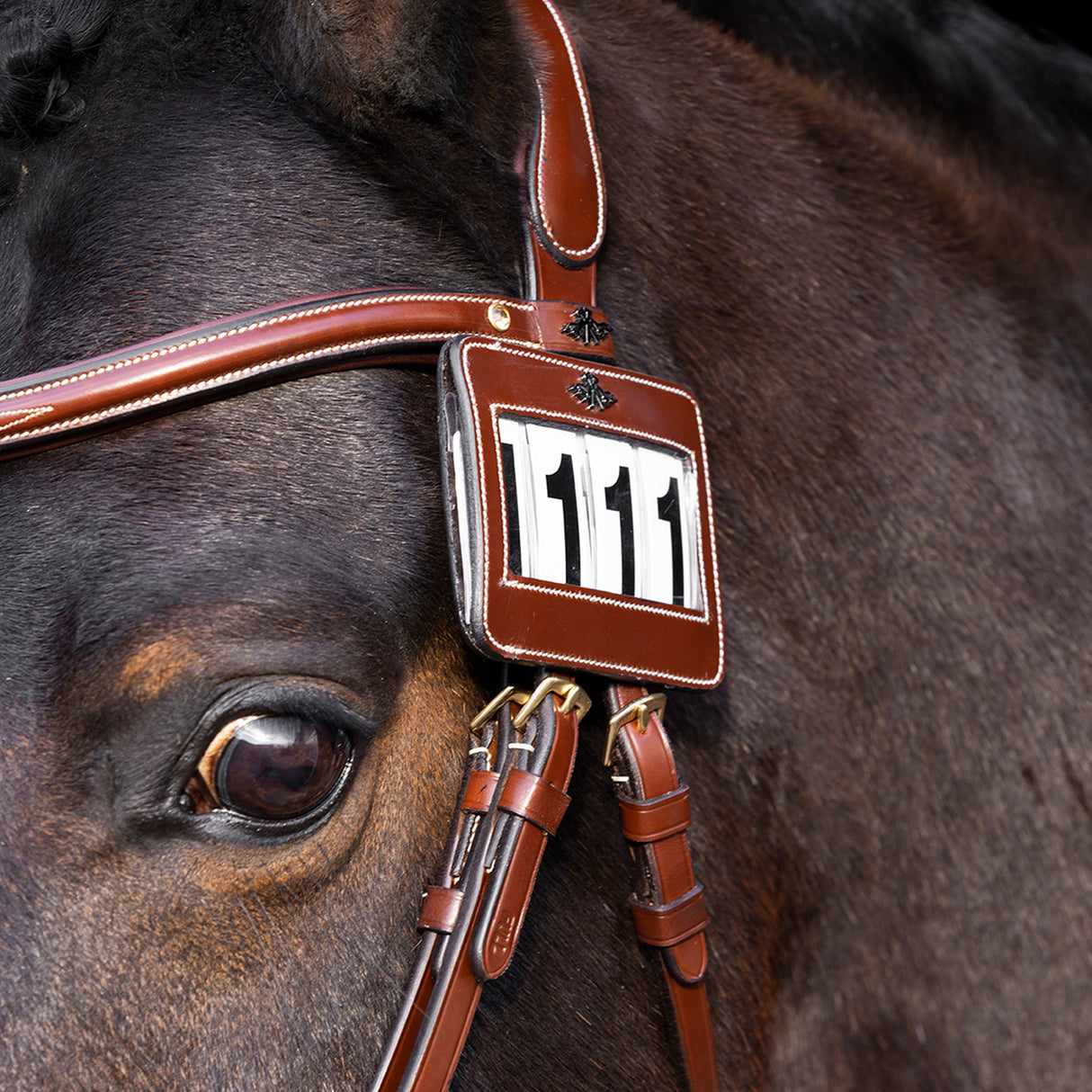 HV Polo Legacy Competition Number #colour_brown