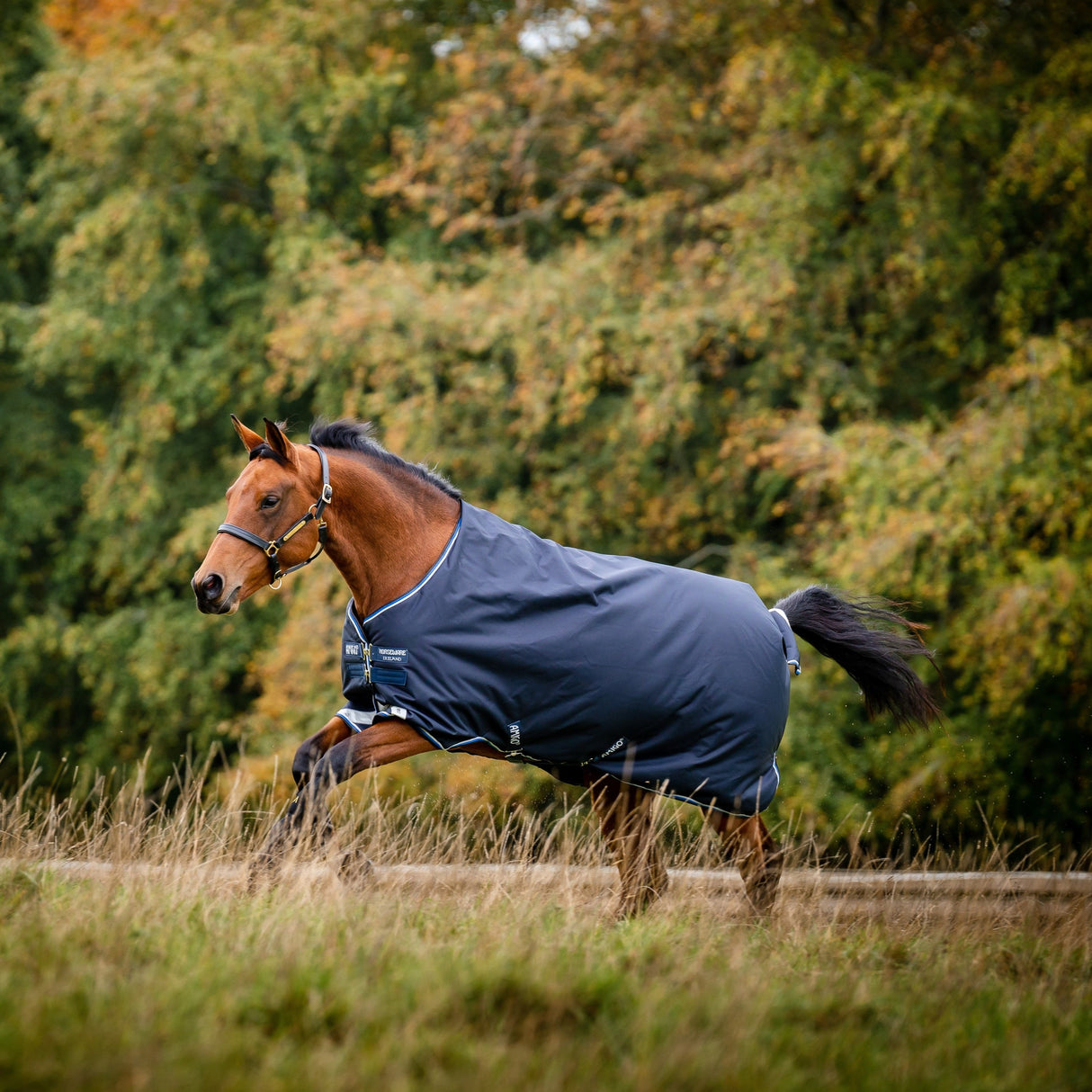 Horseware Ireland Amigo Bravo 12 Original 250g Medium Turnout Rug #colour_navy-strong-blue-silver