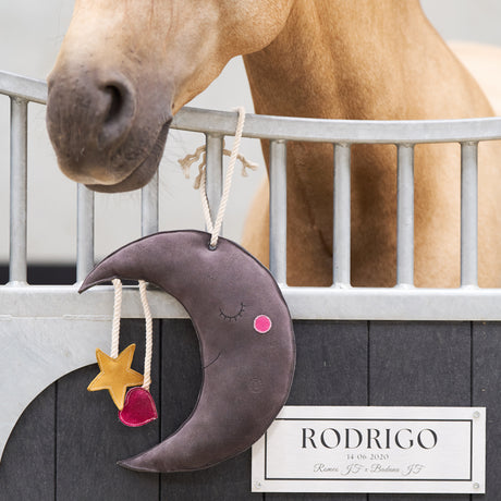 Imperial Riding Stable Buddy Moony #colour_grey
