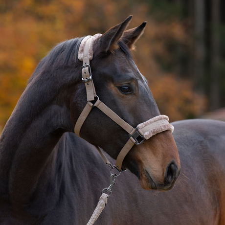 Covalliero Fleece Lined Halter #colour_taupe