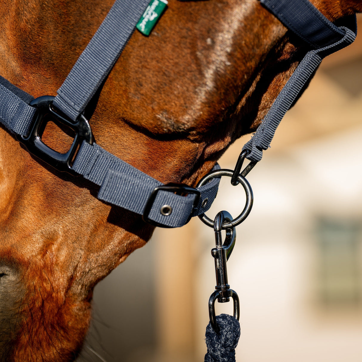 Horseware Ireland Amigo Headcollar & Leadrope Set #colour_navy