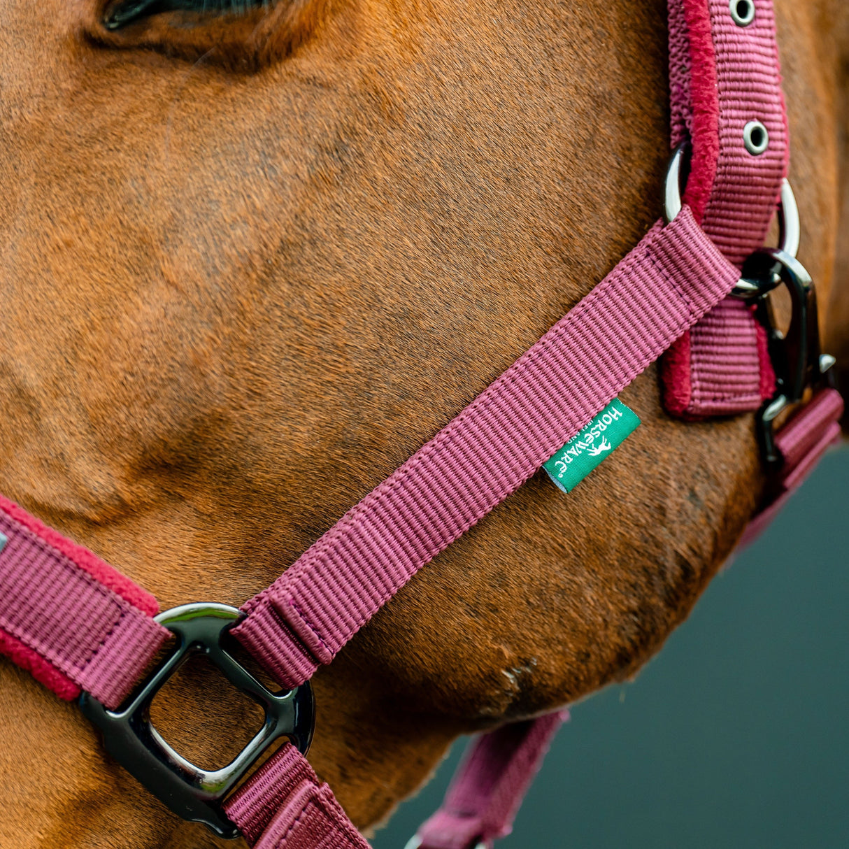 Horseware Ireland Amigo Headcollar & Leadrope Set #colour_mulberry