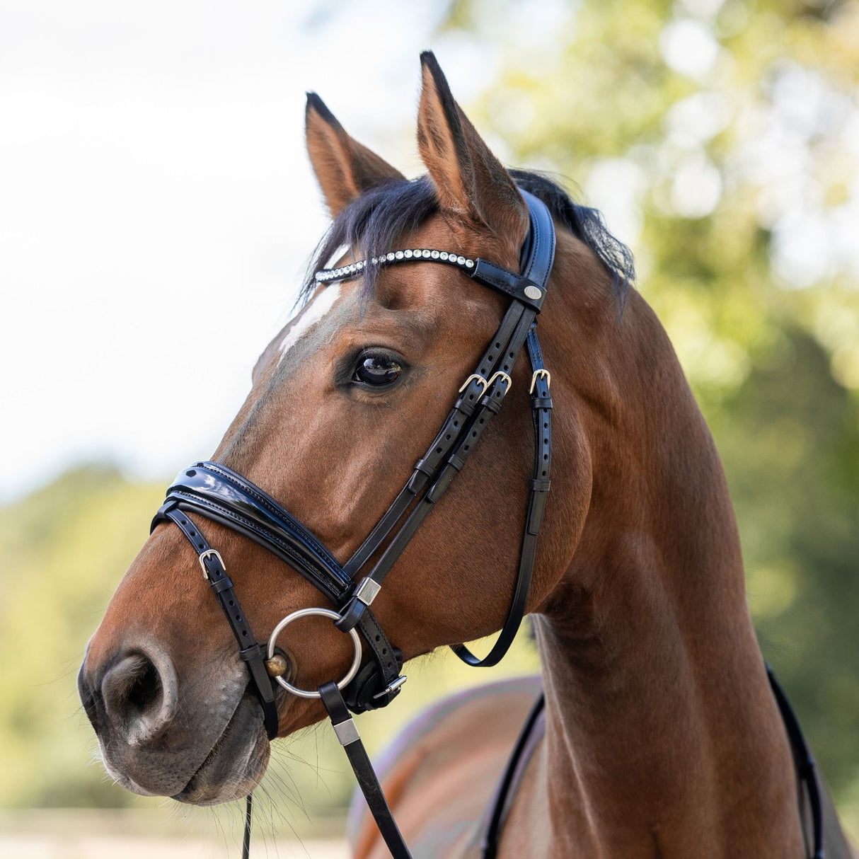 Stubben Switch Magic Tack with Slide/Lock Snaffle Bridle #colour_black-black