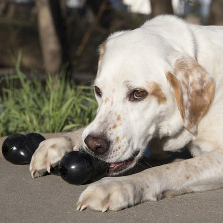 KONG Goodie Bone Extreme #size_m