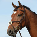 Collegiate Syntovia+ Raised Padded Figure 8 Bridle #colour_brown
