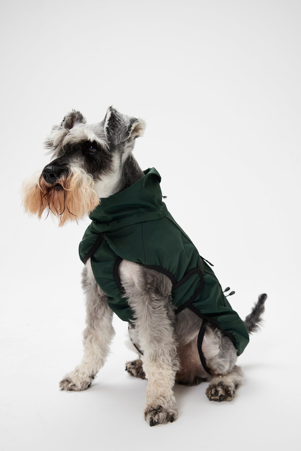 Mountain Horse Grace Dog Jacket