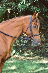 Rênes de tirage rembourrées Mackey Equisential