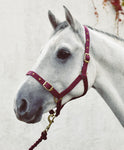Mackey Economy Webbing Headcollar #colour_burgundy