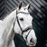 Horseware Ireland Diamante Flash Bridle #colour_black-silver