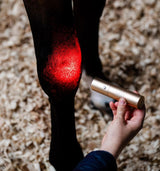 Horseware Ireland LED Red Light Therapy Wand #colour_black-black