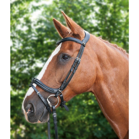 HKM Anatomic Bridle #colour_black