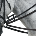 #colour_black