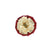 ShowQuest Newport Buttonhole #colour_burgundy-cream-gold