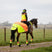 Equisafety Hi-Vis Waterproof Quarter Sheet #colour_yellow-orange