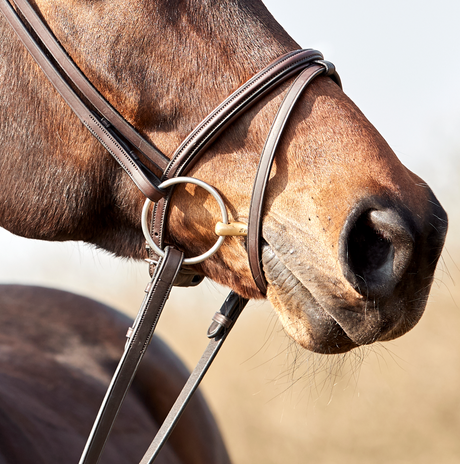 Finesse Zorro Flash Bridle #colour_brown-brown-silver