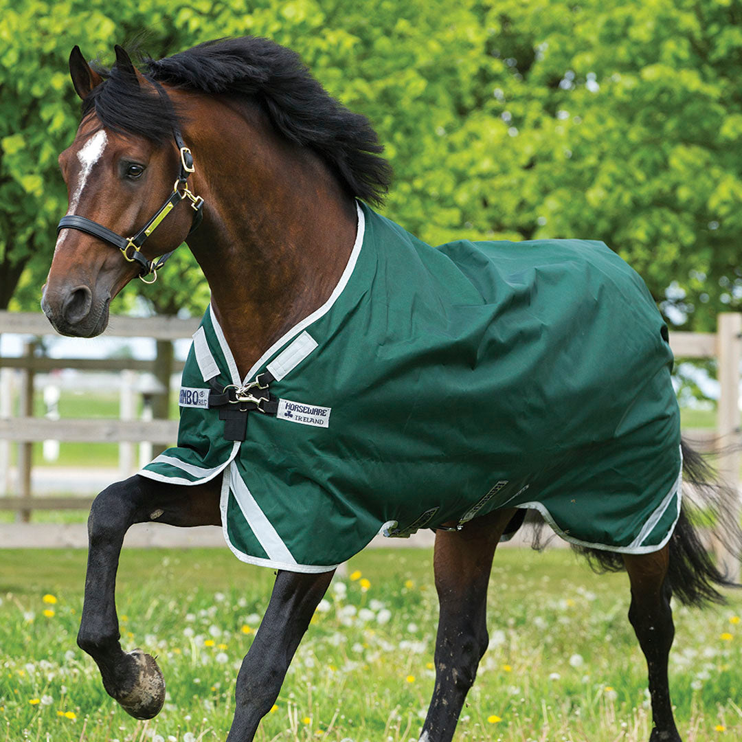 #colour_green-silver