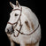 Horseware Ireland Micklem 2 Deluxe Competition Bridle #colour_dark-havana