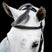 Horseware Ireland Micklem 2 Multi Bridle #colour_black
