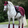#colour_burgundy-teal-navy