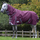 Weatherbeeta Comfitec Plus Dynamic II Detach-A-Neck Medium/Lite #colour_maroon-grey-white