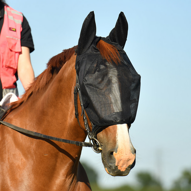 Equilibrium Net Relief Riding Mask #colour_black