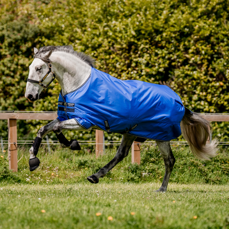 Horseware Ireland Amigo Hero 600D with Ripstop 50g #colour_blue-navy-grey