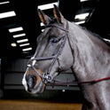 Whitaker Ready To Ride Mexican Bridle #colour_havana