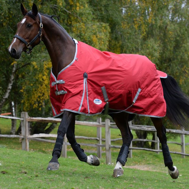 Weatherbeeta Comfitec Classic Standard Neck Lite Rug #colour_red-silver-navy