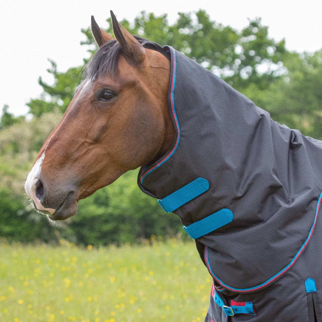 Shires Highlander Original 200g Turnout Rug & Neck #colour_black