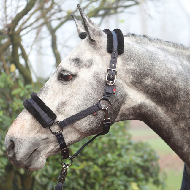 Covalliero Head Collar #colour_dark-navy